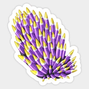 Nonbinary Nudibranch Sticker